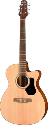 WALDEN F255CE - Folkgitaar
